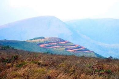 Terraced slopes at Gudisa hill station, Andhra Pradesh