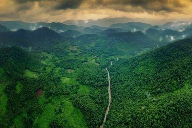 Aerial view of the forested valleys around Gudisa hill station