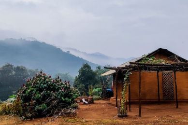 Hut on a misty hilltop at Gudisa hill station