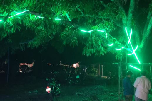 Green lighting in the trees at Manyam Resorts Maredumilli at night