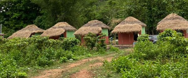Thatched roof huts at Manyam Resorts Maredumilli